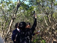 2019-12-02 S6 Biology Field Study at Ting Kok mangrove